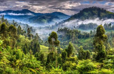 Natthaphon Sirisombatyuenyong